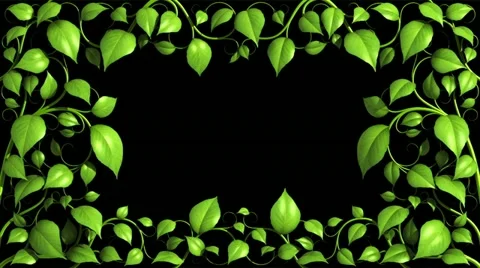 Green Plant pattern is growing in HD. Stock Footage 10828576