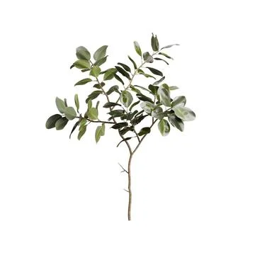 Green Plant. Realistic 3D Render. Green Leaves. Cut Out. Home Element Illustrazione stock