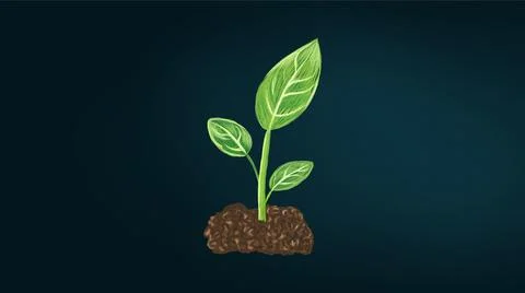 Green plant in the soil. Stock Illustration