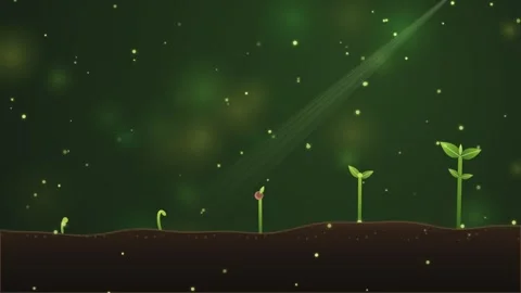 Green plant sprouts growing from soil in a dark magical forest atmosphere Video stock 340874841