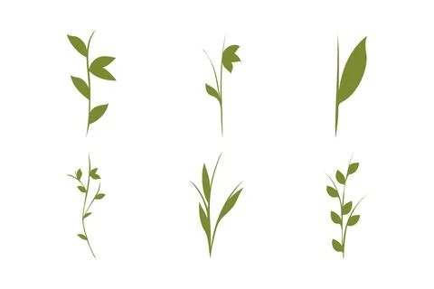 Green plant stems set vector illustrations on white background Stock Illustration