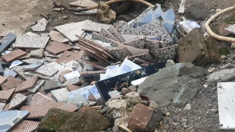 Green plant texture in the yard Stock Footage 329374253