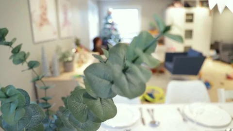 Green plant in vase on dinner table background out of focus Video stock 119597546