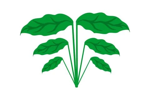 Green plant vector Stock Illustration