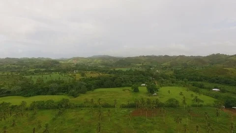 Green plantations and large expanses of forests and fields Stock Footage 72139689