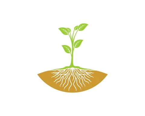 Green planting tree with root vector illustration Stock Illustration