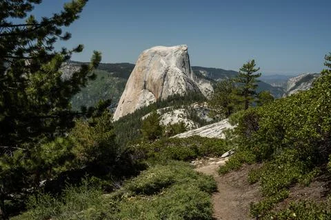 Green Plants Along Clouds Rest Trail Looking Over Half Dome In Yosemite Stock Photos