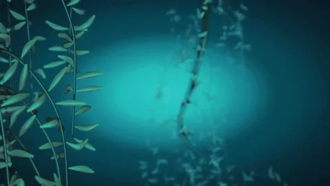 Green Plants Branches Animation  스톡 동영상 234519184