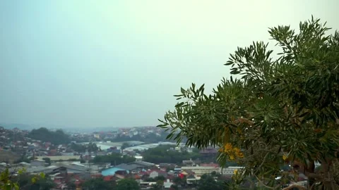 Green plants in the city Stock Footage 250504482