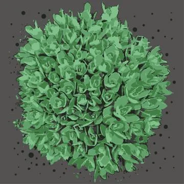 Green plants Illustrazione stock