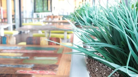 Green plants in the restaurant Video stock 121067408