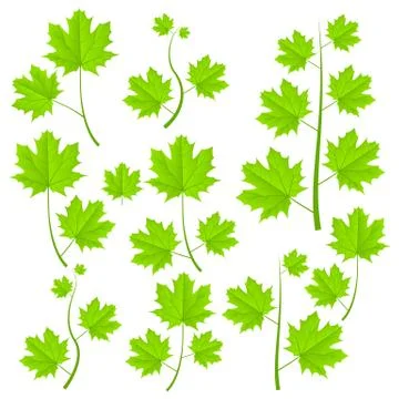 Green plants set Stock Illustration