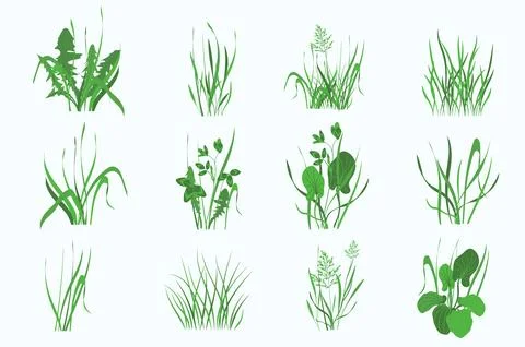 Green Plants Set Stock Illustration