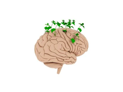 Green plants sprouting from the brain. 3D rendering. 库存插图