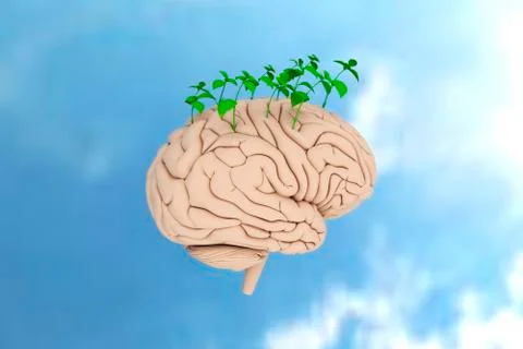 Green plants sprouting from the brain.3D rendering. 库存插图