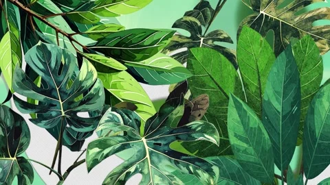 Green plants transition Stock Footage 330329924