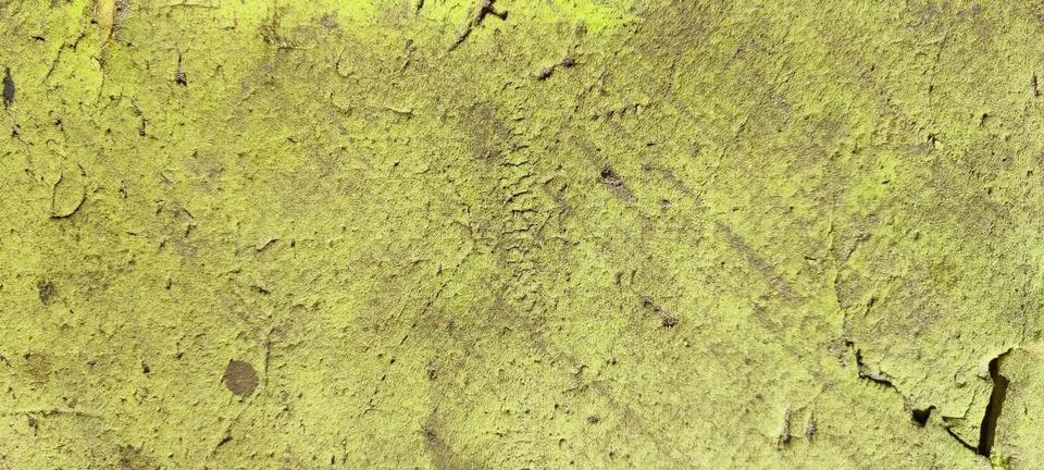 Green plaster wall texture with rough cracked painted surface Stock Photos