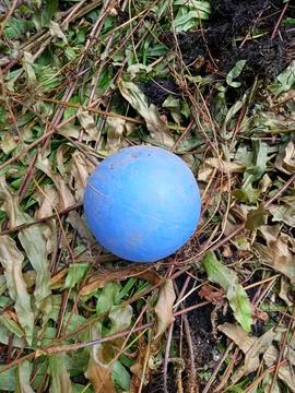 Green plastic ball 写真素材