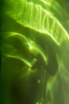 Green Plastic Bottle Stock Photos