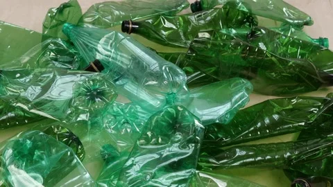 Green Plastic Bottles Sorted for Recycling Stock Footage 315287542