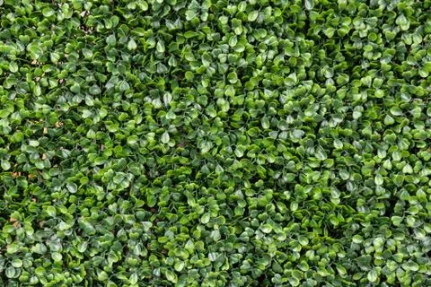 Green plastic grass background for graphic design Stock Photos
