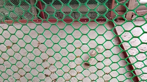 Green plastic hexagonal mesh fence background a repetitive pattern Stock Footage 337317007