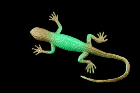 Green plastic lizard Stock Photos