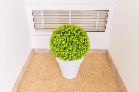 Green Plastic plant in pot for decoration outdoor Stock Photos