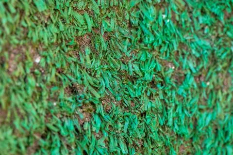 Green plastic texture, abstract background Stock Photos