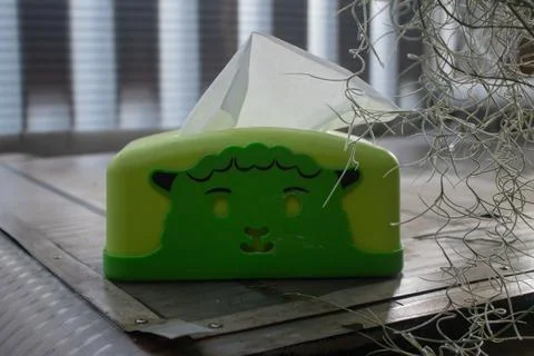 Green plastic tissue holder on the table Stock-Fotos