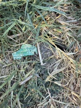 Green Plastic Wrapper Hidden in Dry Grass Stock Photos