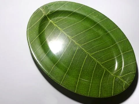 Green plate leaf theme isolated white background Stock Photos