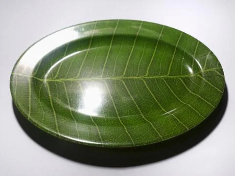 Green plate leaf theme isolated white background 스톡 사진