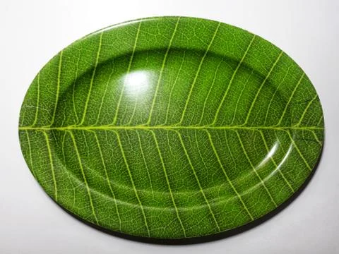 Green plate leaf theme isolated white background Stock Photos