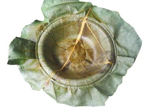 Green plate leaf theme make for global warming Photos