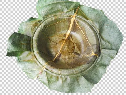 Green plate leaf theme make for global warming Stock Photos