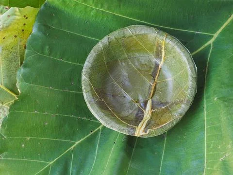 Green plate leaf theme make for global warming Photos