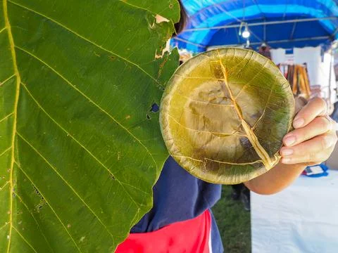 Green plate leaf theme make for global warming Stock Photos