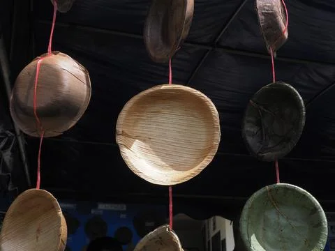 Green plate leaf theme make for global warming 스톡 사진