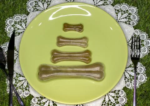 On a green plate next to the instruments  there are bones for dogs Stock Photos
