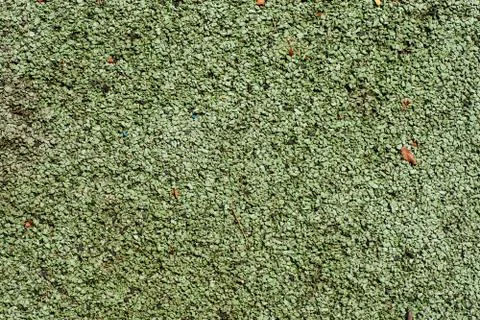 Green playground soft rubber surface Foto stock