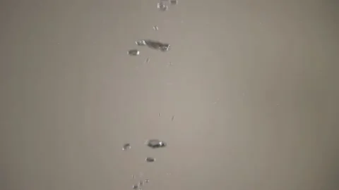 Green plum falling Stock Footage 197090521