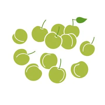 Green plum fruit bunch. Flat vector illustration isolated on white background Stock Illustration