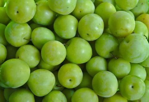 Green plums Stock Photos