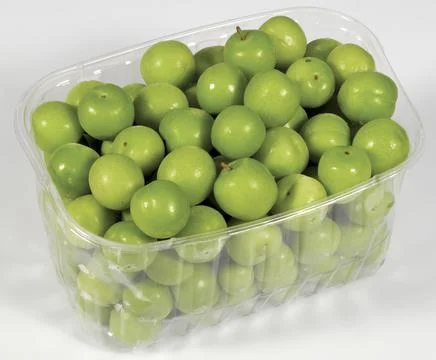 Green plums on white Stock Photos