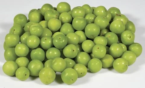 Green plums on white Stock Photos