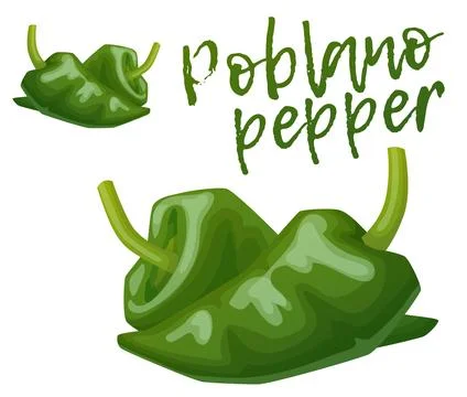 Green poblano pepper vector icon isolated on white background, set of two hot Stock Illustration