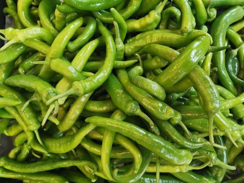 Green pointed peppers as a vegetable Stock Photos