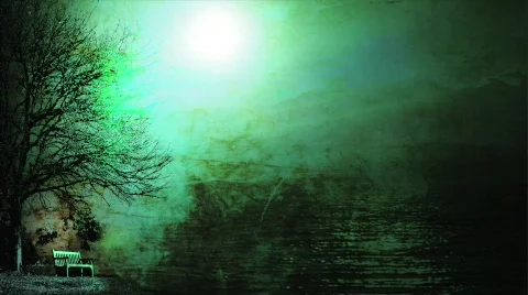 Green Pond  Stock Footage 474949