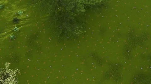 Green Pond Surface Covered With Duckweed and Floating Leaves Video stock 330919928